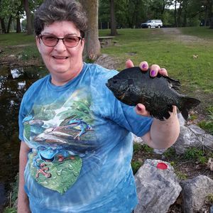 Meet your Posher, Alice